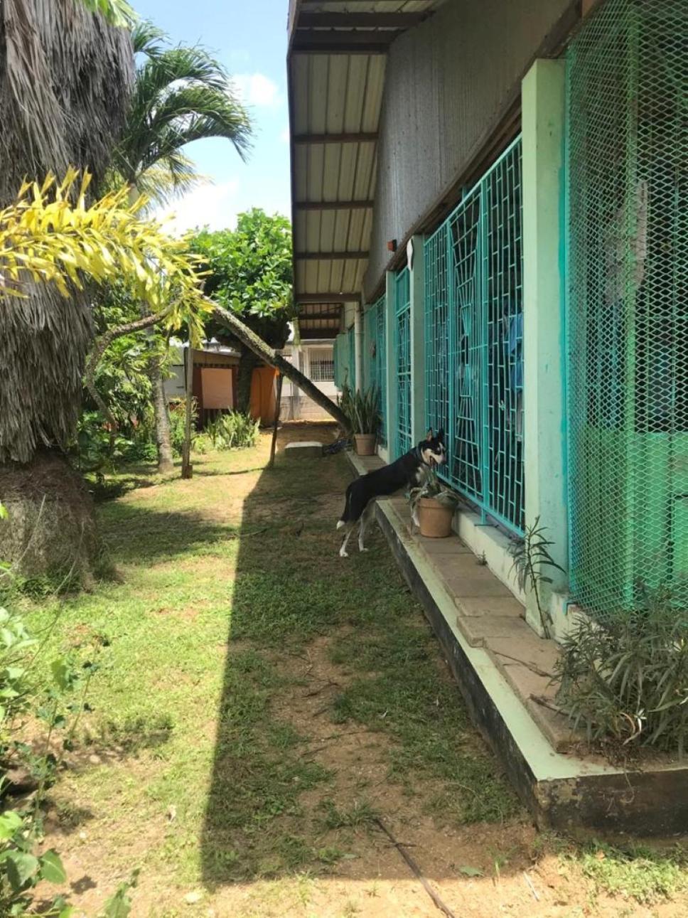Unu Pikin Guesthouse Paramaribo Bilik gambar